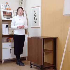 ZHUOHE | Mobile Simple Modern Foldable Dining Table