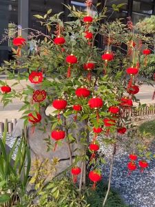 Đèn lồng mini treo cây PAVAVA trang trí lễ Tết rằm trung thu