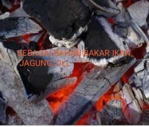 arang kayu bakar super 1kg dan media tanam anggrek