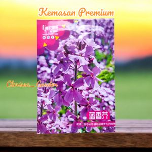 (KEMASAN PREMIUM) BIJI | BENIH BUNGA BLUE MUSTARD FLOWER