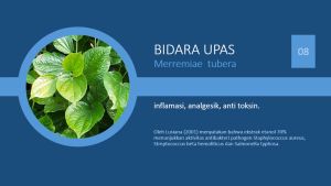 Carnocap HPAI Kanker | Carnocap Kapsul 100% Original Obat Kista Herbal Alami