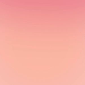 CLEARANCE (Foxing) : Concrete Rose By Angie Thomas Teen & Young Adult Fiction