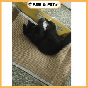 Large Cat Scratcher Bed Claw Grinding Pet Sleeping Max Weight 8KG For Small & Medium Cats Papan Calar Kucing