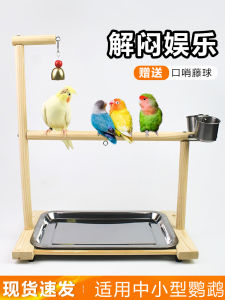 Xuanfeng Peony Monk Little Sun Parrot Desktop Training Floor Solid Wood Small and Medium-Sized Bird Stand Shelf Anklet