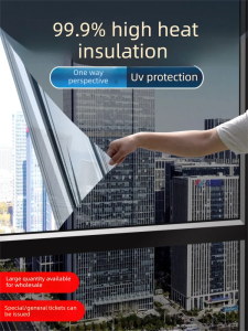 TAISEN | Heat-Resistant Privacy Window Film