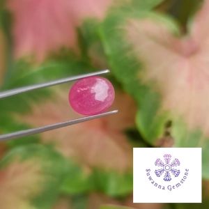 พลอยทับทิม แท้ 7.05 ตรัง สีแดงชมพู รูปร่างไข่หลังเบี้ย พลอยมีลักษณะเนื้อเนียน ทั่วทั้งเม็ด และเผาใหม่ แสดงคุณร้องเรียนกับการผ่าตัด