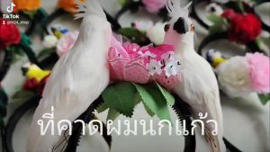 นก 2 ตัว ที่คาดผมนกแก้ว ที่คาดผมรูปสัตว์ ที่คาดผม นกแก้ว ดอกไม้ปลอม นกปลอม ส้ตว์ปลอม ที่คาดผมแฟนซี เครื่องประดับผม fancy bird headband m24