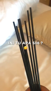 Fiber Stick Reed Diffuser Aromatherapy Home Fragrance Stik Pewangi (1pcs) XX153