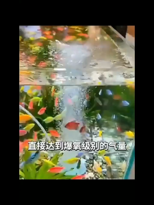 Adjustable Speed Mini USB Aquarium Oxygen Air Pump Ultra Quiet Portable Fish Tank Aquarium Aerator 便携氧气泵