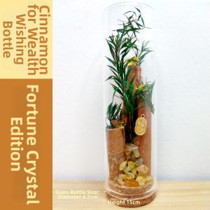 DIY Wealth Attraction Ornament Cinnamon Scenic Spot Office Position Transformation Sealed Office Entrance Dustproof Wish Bottle