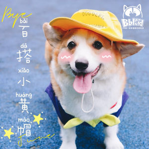 Versatile Fishermans Hat for Dogs Golden Retriever Corgi Papillon Doggie Accessories Pet Caps Comfortable Fit Dog Headwear