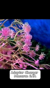 Adapter Batok Charger Macaron 3.1A: Pengisi Daya Cepat & Praktis