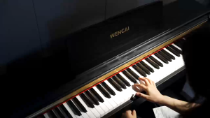 WENCAI 88 Keys Digital Piano Hammer Action Weighted Keyboard Piano Full Size Upright Electric Piano Wooden Electronic Piano for Beginner Professional MIDI-USB Support 3 Pedals