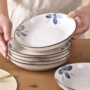 Aesthetic Ceramic Dinner Plate Set 2 Pieces