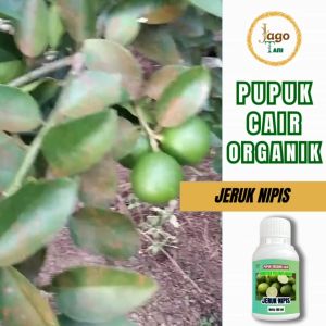 Pupuk Cair Organik Booster Jeruk Nipis Bantu Cepat Berbuah Hasil Panen Banyak By Jagotani Yogyakarta