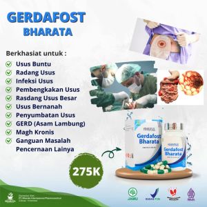Gerdafost Bharata Obat GERD Usus Buntu Magh Kronis Asam Lambung 100% Herbal