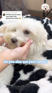 Purpaws 200 Pcs Hypoallergenic Organnic Pet Eye Wet Wipes Cleaning Tear Stain EDI Pure For Dogs Cats