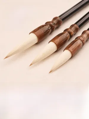 Starter Calligraphy Brush Set Mixed Wolf and Goat Hair Various Styles