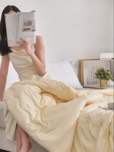 Antibacterial Anti-mite Warm Thick Winter Quilt