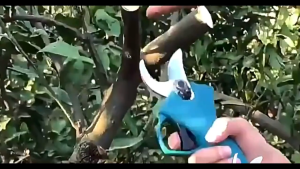 2วัน🚛การจัดส่งในพื้นที่🚛Brushless 21V ไร้สายไฟฟ้า Pruner ตัดแต่งกิ่งเฉือน 4 เกียร์ที่มีประสิทธิภาพต้นไม้บอนไซตัดแต่งกิ่งไม้เครื่องตัดเครื่องมือจัดสวน (ไม่มีแบตเตอรี่) 0-25mm เส้นผ่านศูนย์กลางเฉือน