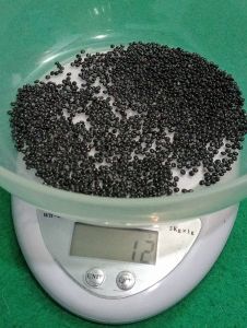 benih biji gingseng korea merah