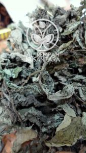 Daun Insulin Asli Kering 500gr- Cepat Menurunkan Gula Darah