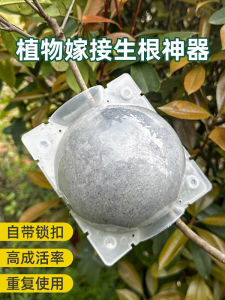 High Pressure Plant Grafting Reproduction Box Propagation Tool for Fruit Trees Rooting Generator Ball Gardening Supplies