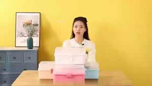 FR-C1050 Kotak Penyimpanan Obat 3 Tingkat & Tool Box Serbaguna