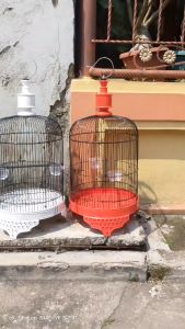 SANGKAR LOVEBIRD TANGGUNG LENGKAP TEBOK MERCY WARNA T2 IWAN ATAP LENGKUNG KANDANG BURUNG TRUCUK KONIN