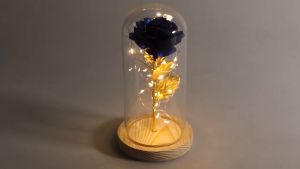 Lampu Hias LED Dekorasi Bunga Mawar Beauty and The Beast Warm White Taffhome - AC01 / Lampu hias cocok untuk jadi kado hadiah buat pasangan pacar / Lampu bunga hias dekorasi acara pesta / Lampu bunga hias meja ruang tamu kamar tidur