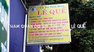 (Lê Quế) Tinh dầu bạc hà nguyên chất LÊ GIA (Lê Quế Cũ) Hương thơm sảng khoái Khử mùi hiệu quả Đuổi côn trùng Chai 10ml Koshka Home