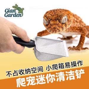Mini Stainless Steel Sand Shovel for Hamsters and Parrots Giant Garden Pet Supplies Reptile Cleaning and Daily Use Items