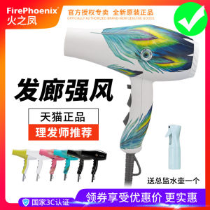 Fire Phoenix 8960 for Hair Salon Electric Hair Dryer Barber Shop High Power Hot and Cold For Home Hair Dryer Hair Stylist Genuine Goods