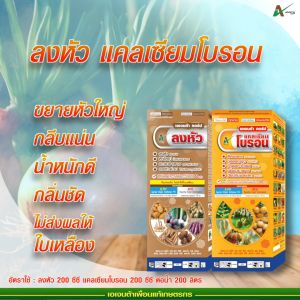 ลงหัว ห่อหัว เอเจนต้า คอร์ป หัวใหญ่ หัวแน่น ไม่ทำให้ใบเหลือง สะสมอาหาร ขยายหัวด่วน ดอกใหญ่ สำหรับพืชตระกูลกินหัว (ชุดคู่ 1 ลิตร)