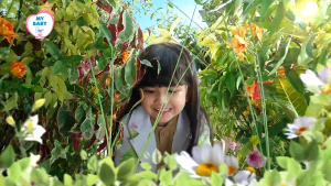 MY BABY Minyak Telon Plus Longer Protection 60ml - 90 ml - 150ml | Minyak Bayi Anti Nyamuk 12 Jam