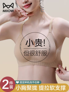Soft Support Fixed Cup Bra Womens Underwear Gather without Empty Cup Anti-Sagging Side Breast Collection Autumn Winter Bra