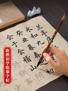 Medium Regular Script Writing Brush Copybook European Style Calligraphy Calligraphy Practice Board Beginner Calligraphy Entry Suit Soft Pen Calligraphy Writing Paper Lanting Preface Tengwang Pavilion Regular Script Adult Word Practice Paper Meditation