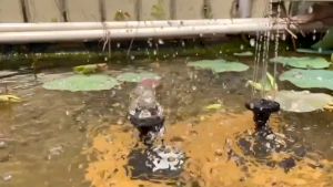 ⚡Miễn Phí Vận Chuyển⚡Máy bơm phun nước năng lượng mặt trời 1.8W 7V với 6 vòi phun nước cho bể chim ao vườn và những nơi khác