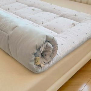 MR.DANYE | Soft Skincare Cloud Cotton Mattress Foldable