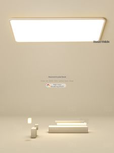 Full Spectrum Simple Modern Rectangular Ceiling Light
