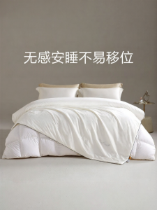 Boyang Home Textile | 95 Goose Down Silk Combination Duvet Four Seasons Dual Use 2 Persons