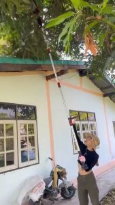 OSUKA OSPS-4V1 20V เลื่อยไฟฟ้า 2 คอมพิวเตอร์ เลื่อยตัดแต่งกิ่งสูงไร้สาย 2 ล้อ แบตทน น้ำหนักเบา เป็นสินค้าอื่น ๆ ที่น่าสนใจสำหรับกิ่งไม้ทุกวัย