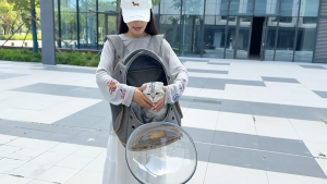 Smart Pets Cat Bag Visual Transparent Outdoor Large-Capacity Pet Trolley Panoramic Transparent Portable Backpack