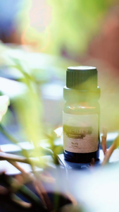 Tinh Dầu Tràm Trà | Tinh Dầu Thiên Nhiên Nguyên Chất | Farm & Forest | Kháng Khuẩn Trị Mụn & Thanh Lọc Không Khí