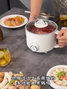 Mini Electric Cooker 2L Fast Steam & 2-Layer Steamer Multi Functional Dormitory Electric Frying Pan Non Stick Inner Pot Electric Hot Pot 电煮锅