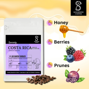 Single Origin-Costa Rica 100% Arabica Coffee Bean