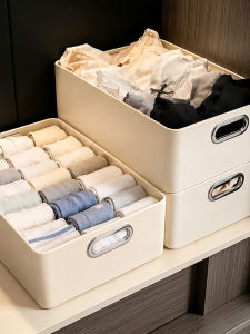TIANDIYU | Underwear Clothing Organizer Metal 1 Tier