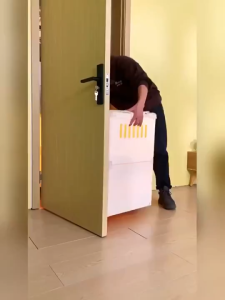 Kandang Kucing Plastik Cetakan Utuh Permukaan Halus Mudah Dibersihkan Rakit Tanpa Alat