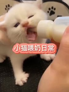 Pet Pups Premium Cat & Dog Milk Powder 280g/ Pet Goat Milk Power Daily Supplementation for Pets natural milk supply Kucing PuppyVet Care