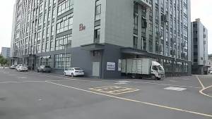 Cross-Border Yoga Pants Womens Hip Lifting Peach Hip Fitness Pants High Waist Bottoming Color Striped Trousers Tight Women Wholesale